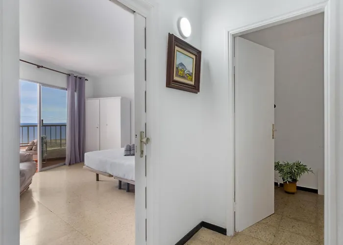 Apartman Live San Marcos *